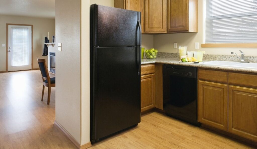 Kitchen in a Modest Home 