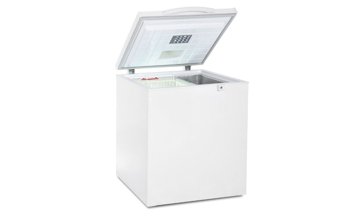 Can You Safely Keep A Freezer In The Garage? LifeHackLane