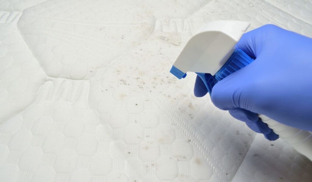 Cleaning a mattress fabric with a foam stain remover 