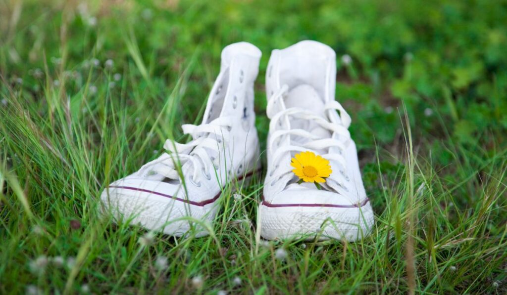 Sneakers and daisy