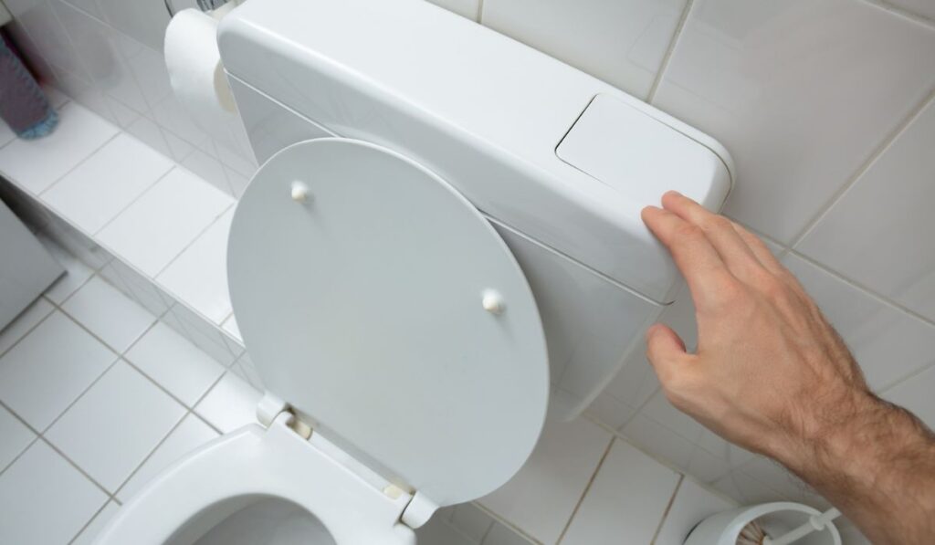 Human`s Hand Using Toilet Flush 