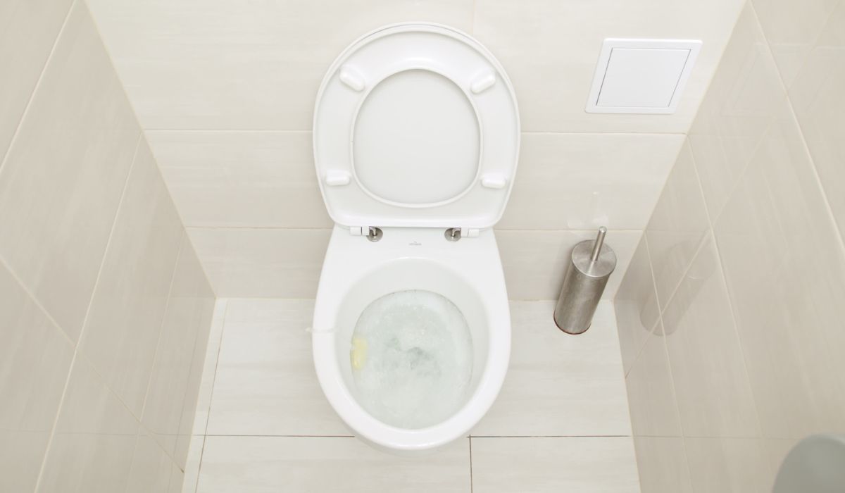 Flushing Hair Down The Toilet Good Or Bad? LifeHackLane